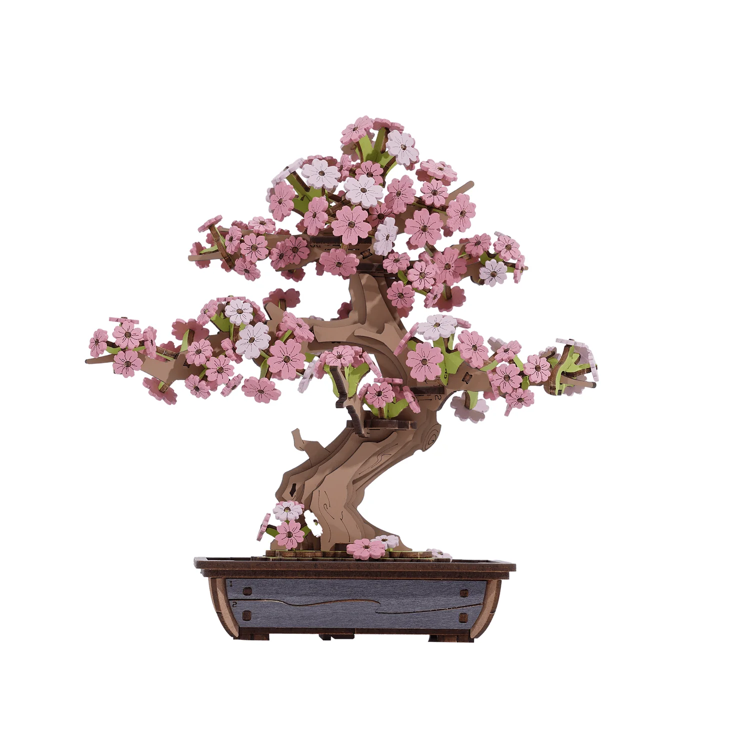 Bonsai Sakura & Kiefern - Image 4