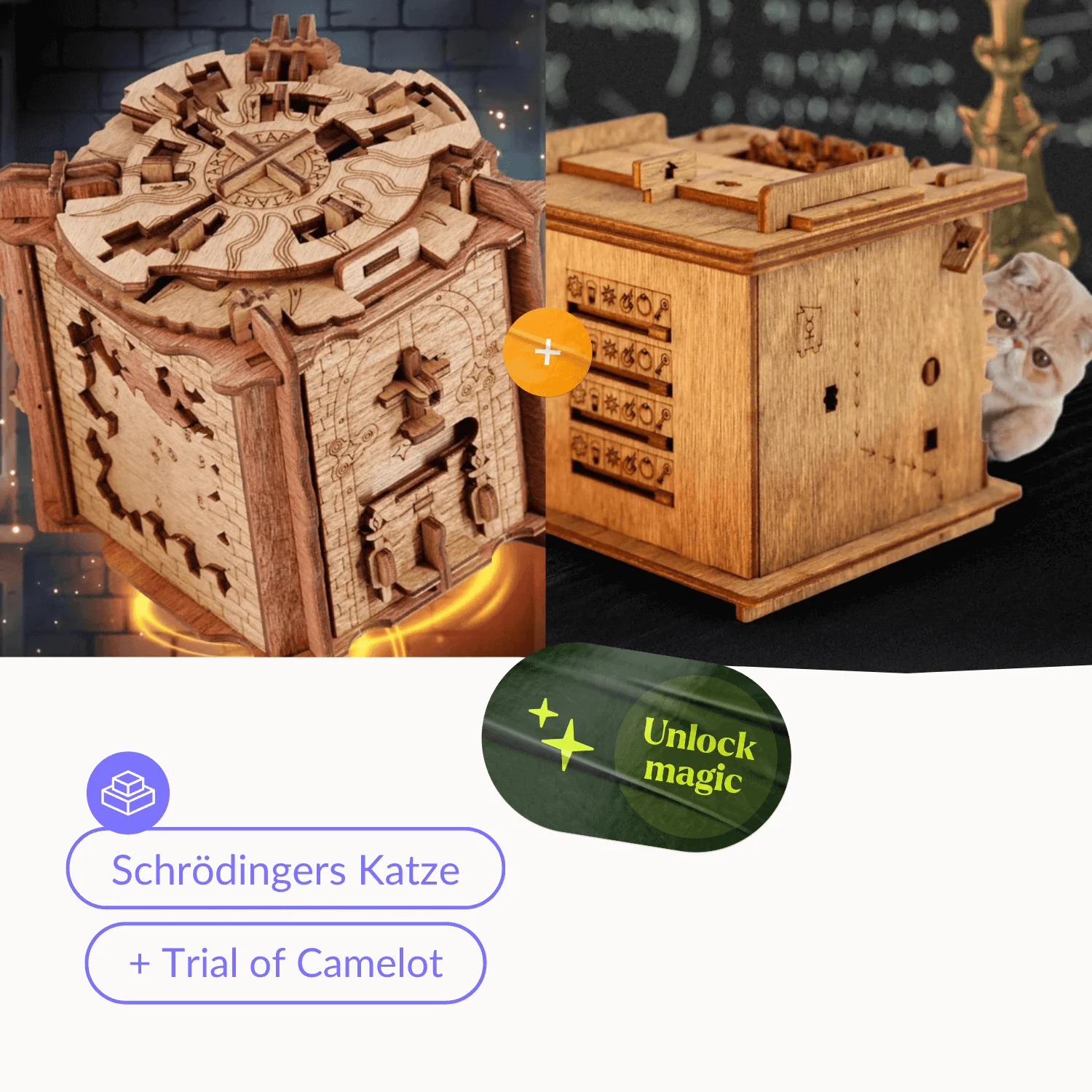 Cluebox Schrödingers Katze - Image 11